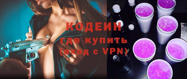 МДПВ Бородино
