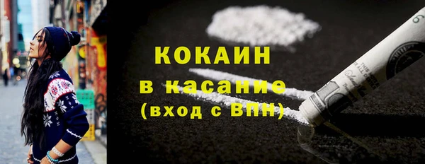 МДПВ Бородино