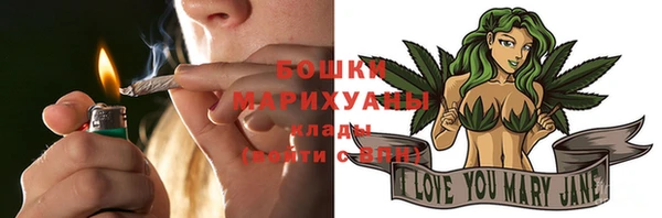 МДПВ Бородино