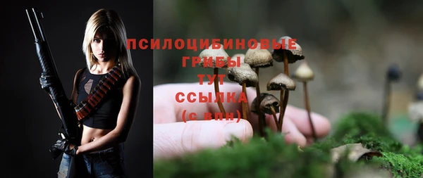 МДПВ Бородино