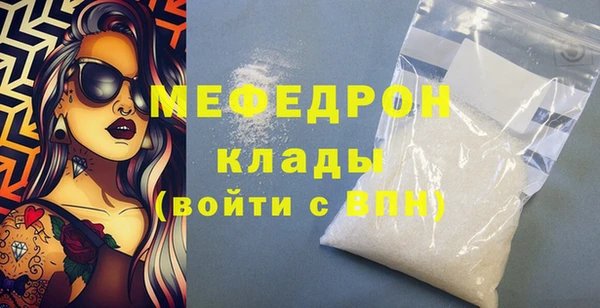 МДПВ Бородино