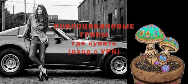 МДПВ Бородино